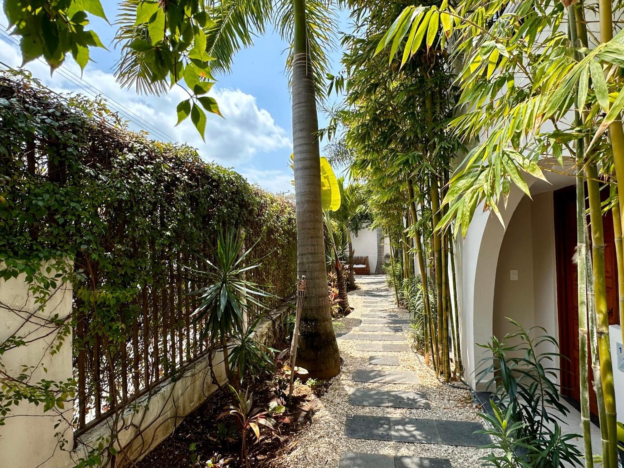 Hotel Pachamaya Holistic Wellness & Cancun