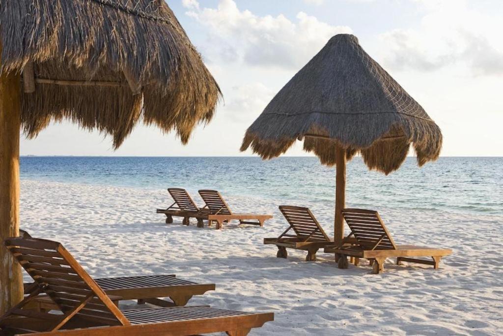 Excellence Playa Mujeres (adults Only) Cancun