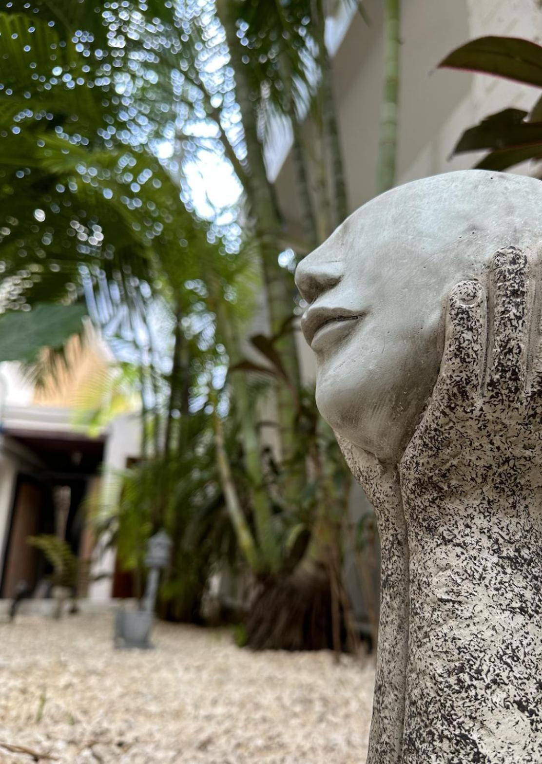 Pachamaya Holistic Wellness & Cancun