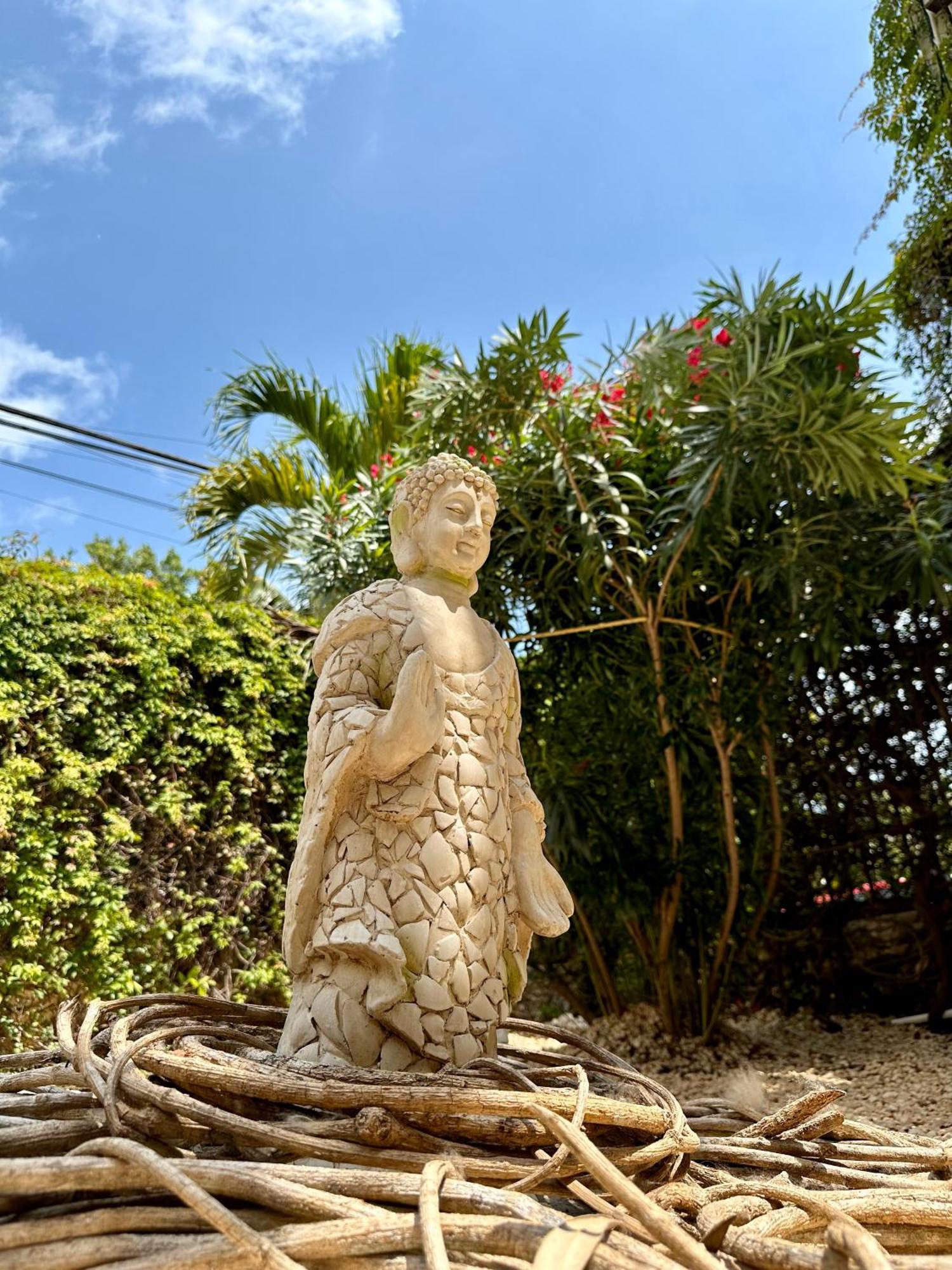 Pachamaya Holistic Wellness & Cancun