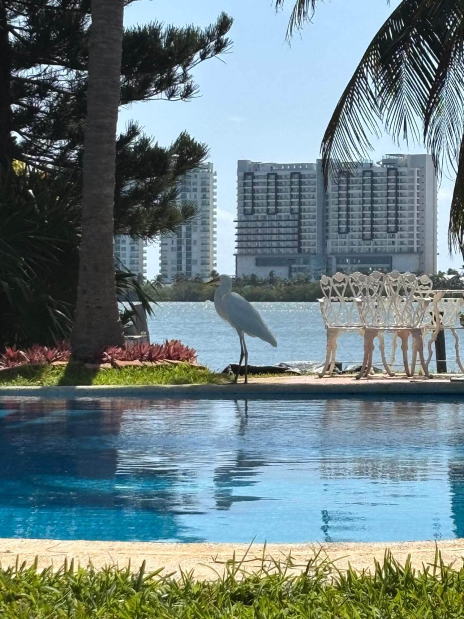 Villa Magnifica Palmeras Luxurious 4 Bedroom 6 Bds 4 Ba Private Pool Lagoon Front Super Fast Wifi Cancun