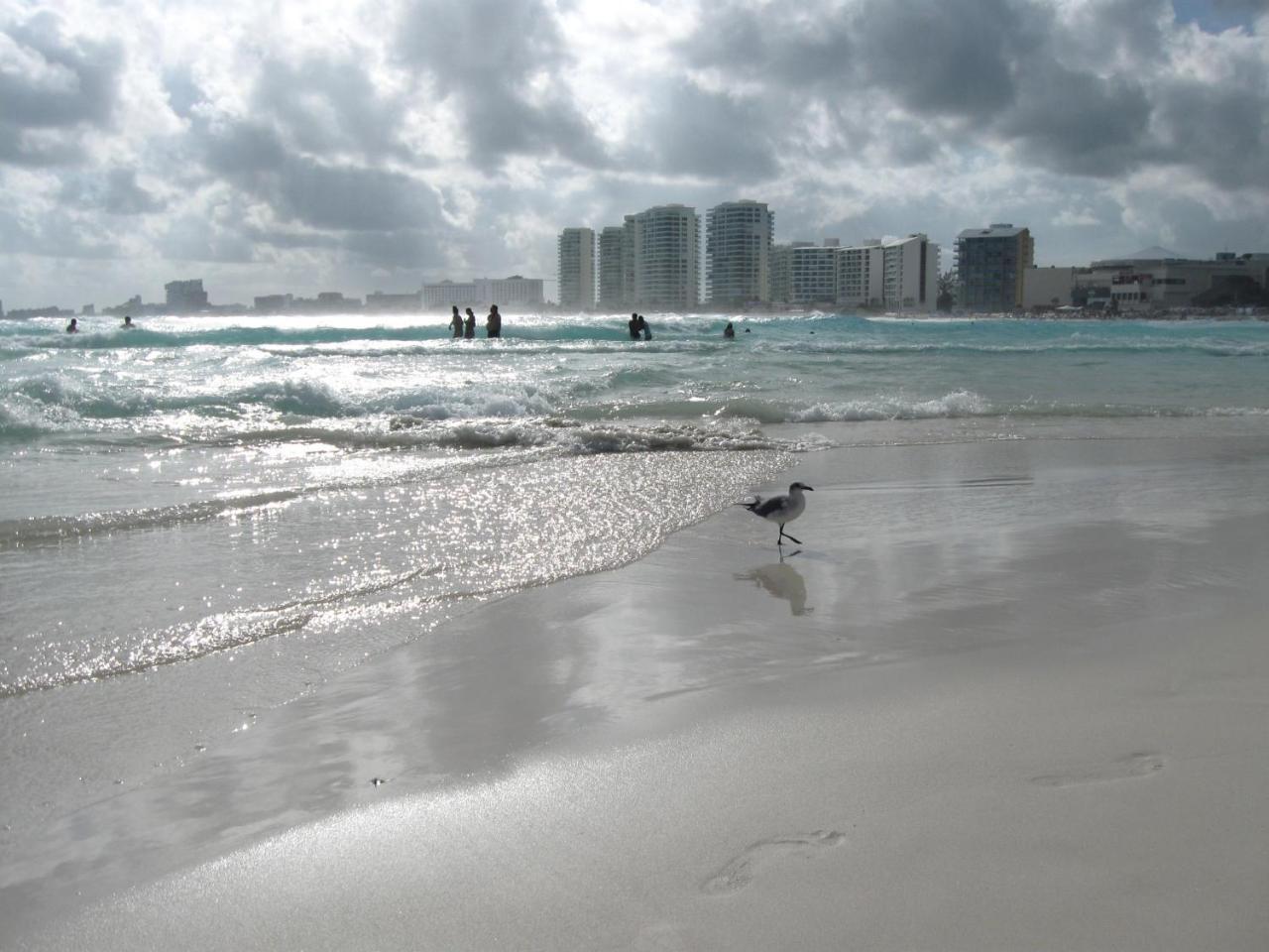 1 Bedroom Seaview In Ocean Dream Apartment Cancun