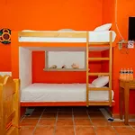 Mexicasa Cancun Hostel