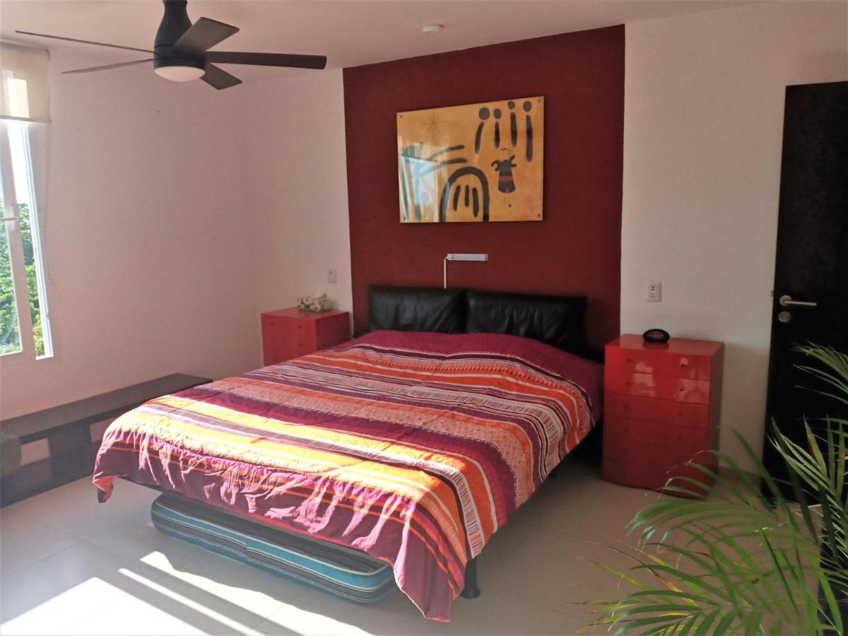Swim The Caribbean & Work With A View Apartment *