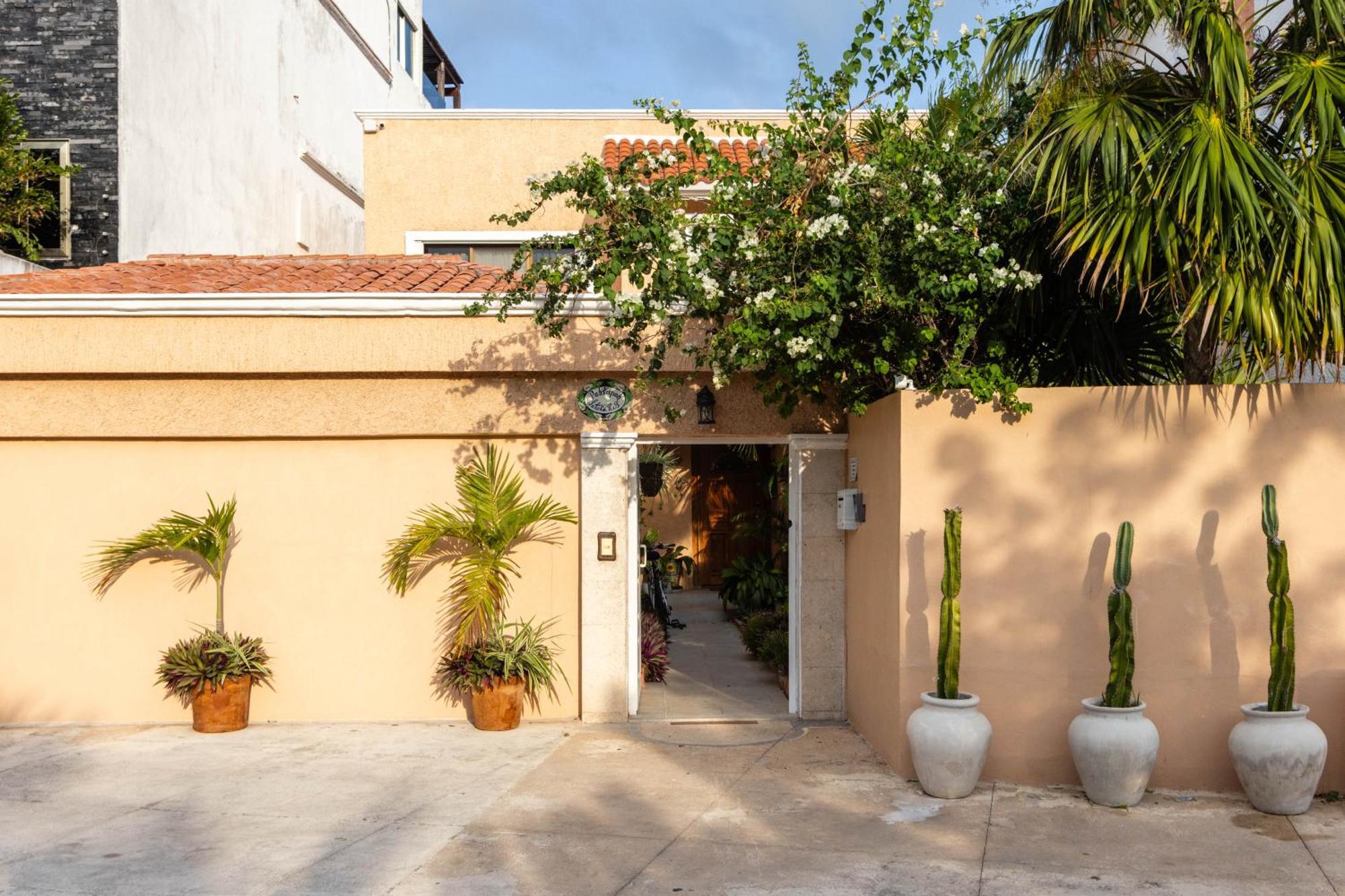 Magnifica Palmeras Luxurious 4 Bedroom 6 Bds 4 Ba Private Pool Lagoon Front Super Fast Wifi Villa