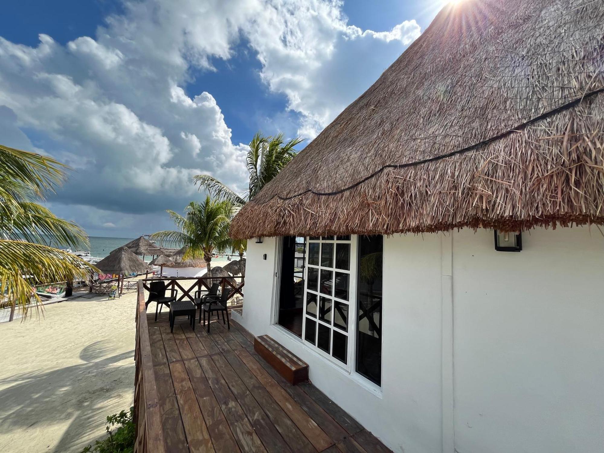 Apartment Seafront Shack