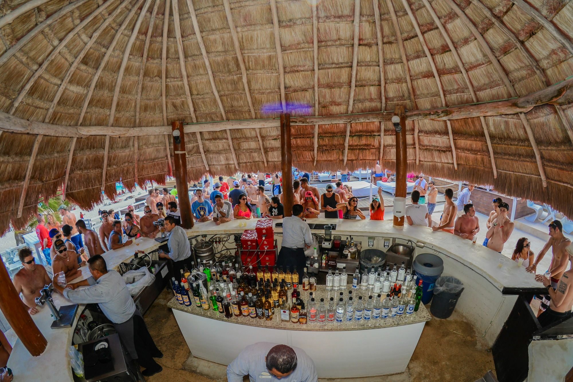 Resort Oasis Lite Cancun